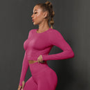 Top Manga Longa | Legging | Sem Costura