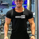 47251046236467|47251046269235|47251046302003|47251046334771